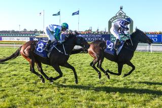 Karaka graduates finish first, second and third in the Group 3 Canterbury Gold Cup. Photo: Race Images South